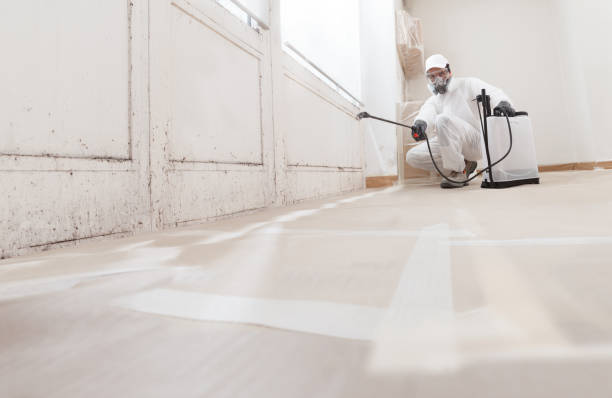 24/7 Emergency Mold Testing experts in Lewisburg, TN