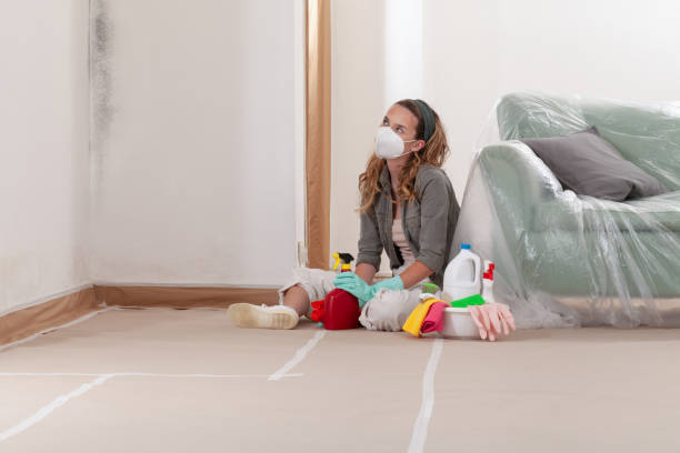 Reliable Mold Testing contractor in Lewisburg, TN by WQB Mold Removal